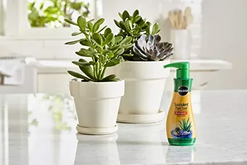 Miracle-Gro Succulent Plant Food, 8 once, per succulente, inclusi cactus, giada e aloe, 2 confezioni